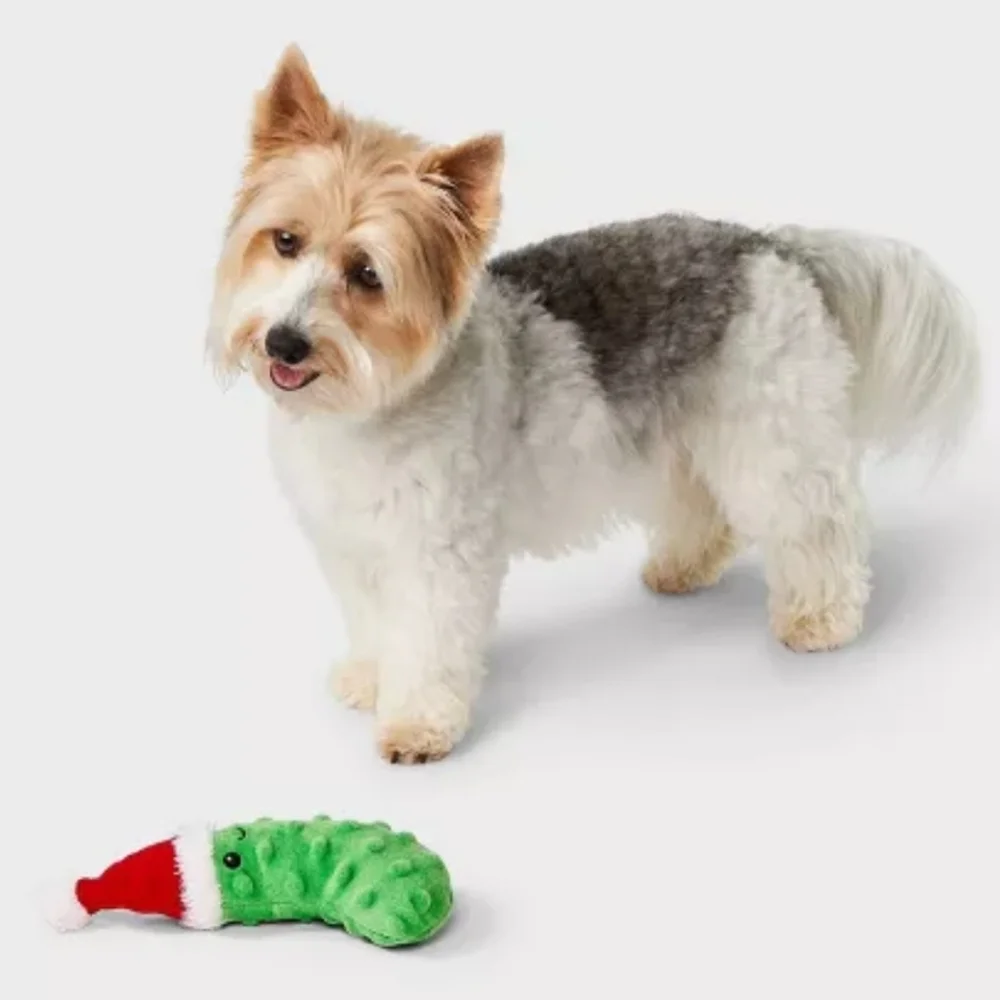Pickle Dog Plush Toy - Boots & Barkley